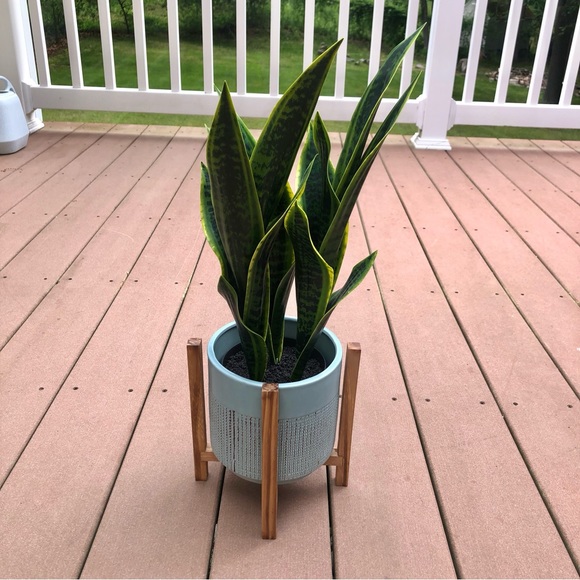 Distressed Blue Indoor Plant Pot with Stand - Picture 2 of 11